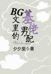 As the Minor Gay Love Rival in Het Novels