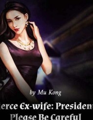 Fierce Ex-wife: President, Please Be Careful