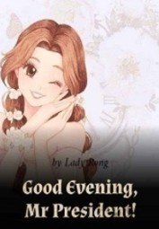 Good Evening, Mr President!