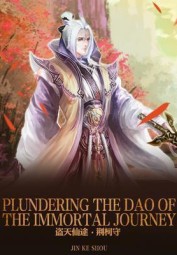 Plundering the Dao of the Immortal Journey