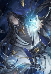 Warlock of The Magus World (FanFiction)